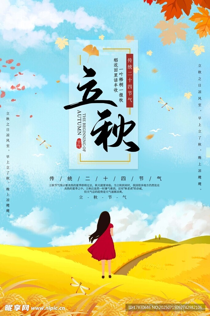女孩漫步于立秋田野间