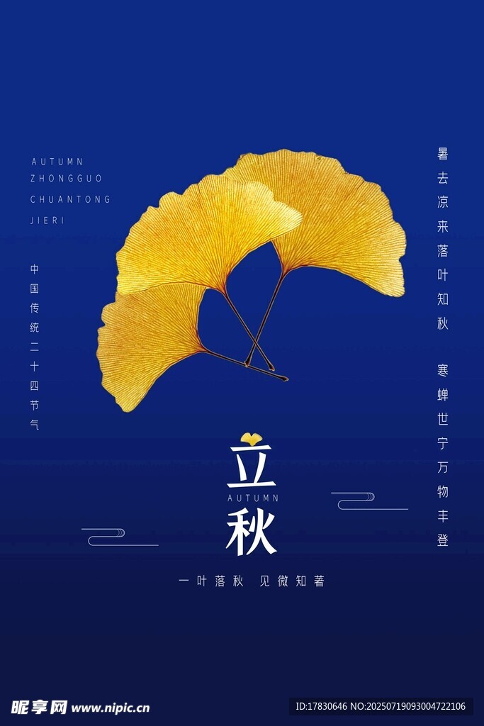 立秋时节银杏叶飘飞