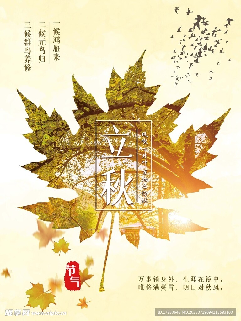 秋日枫叶伞下诗意景象