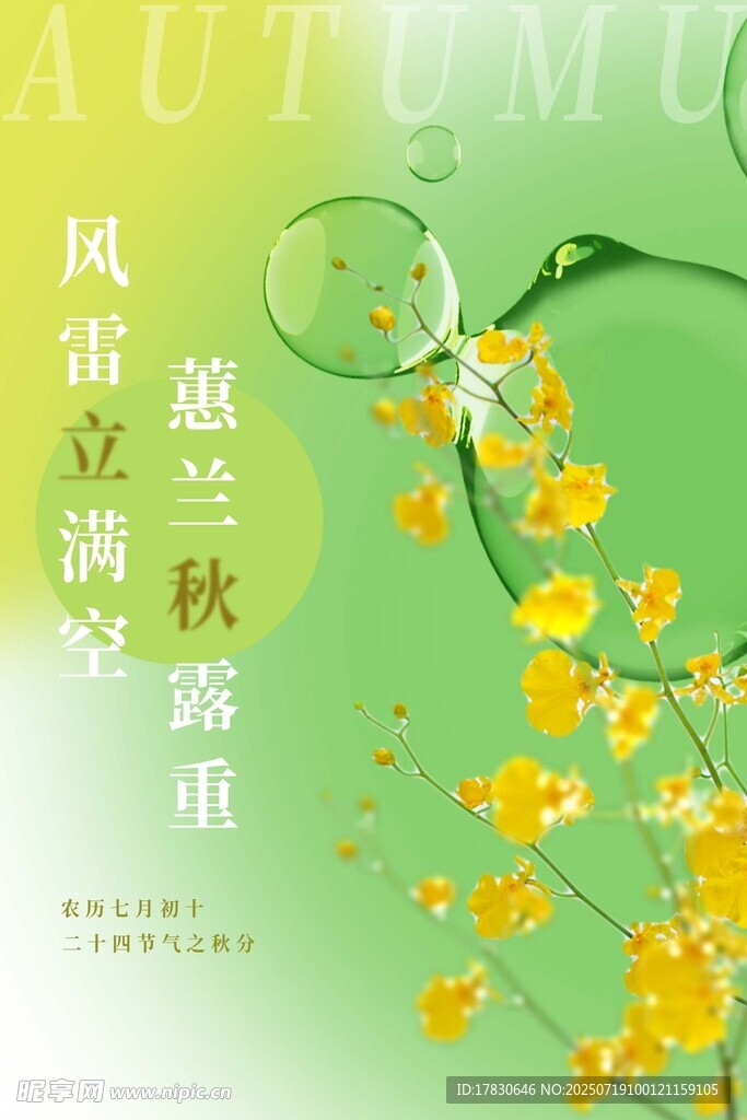 秋意兰花绽放图