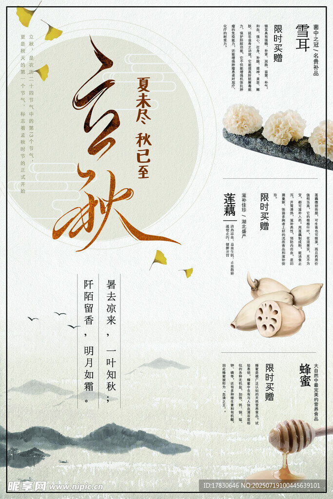 立秋时节插画
