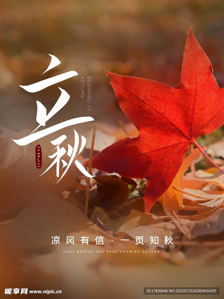 立秋时节枫叶与果实