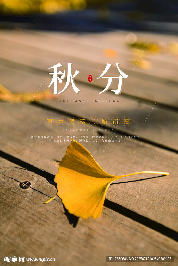 秋分时节银杏叶飘落