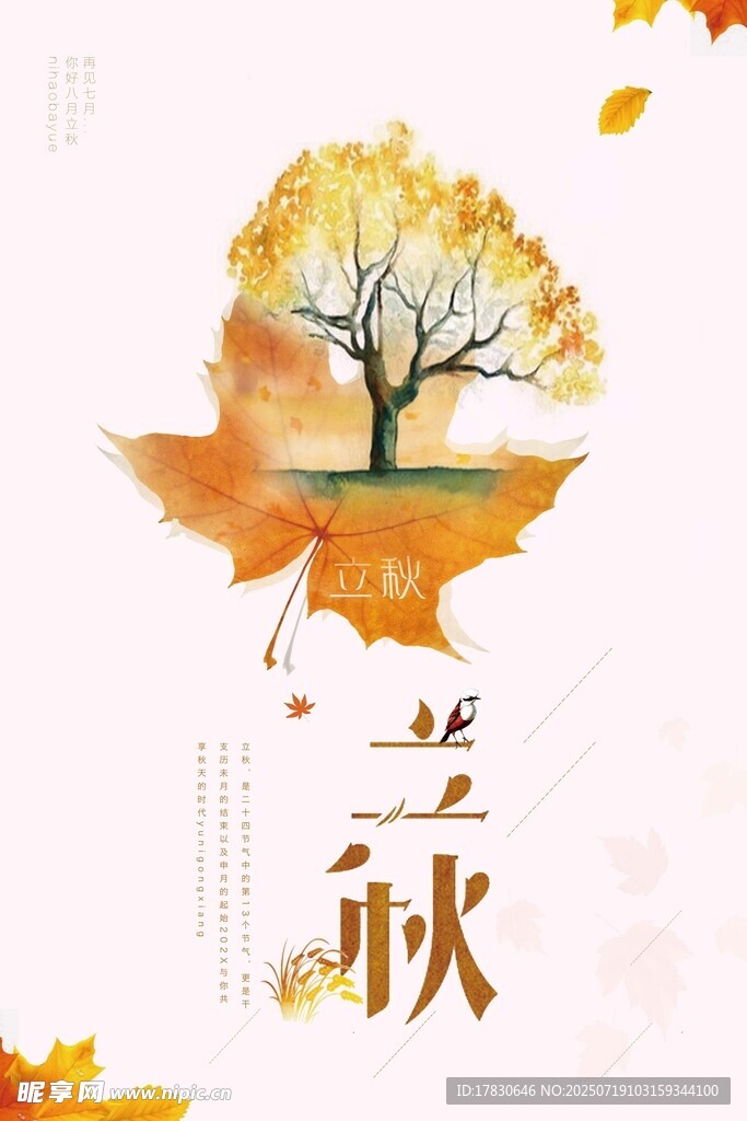 秋季落叶树木插画