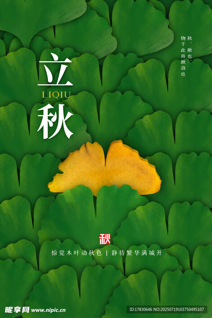 立秋时节银杏叶与绿叶