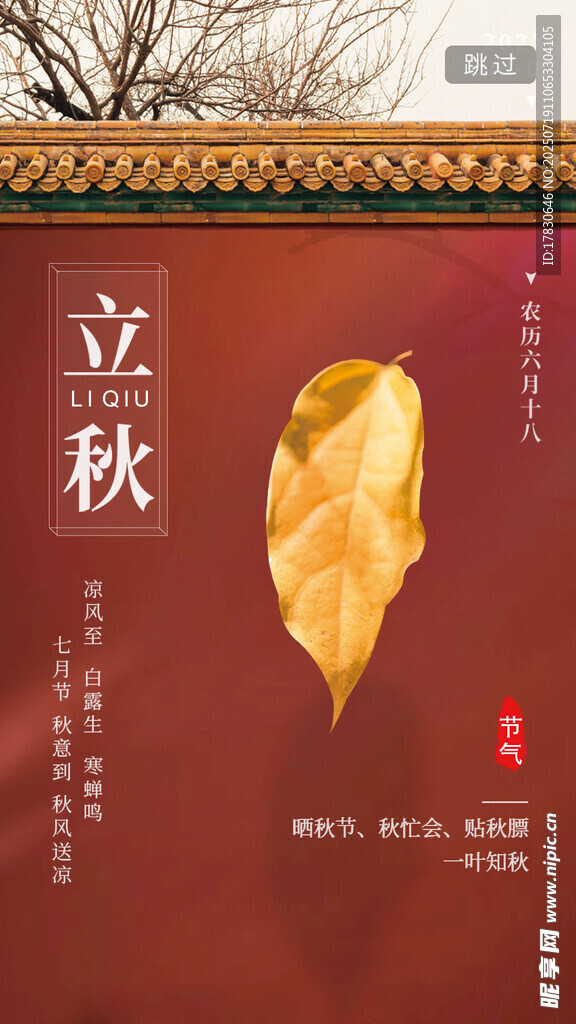 立秋时节金黄树叶海报