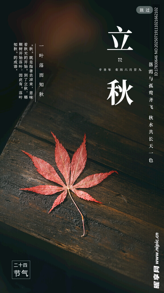 立秋时节枫叶静美