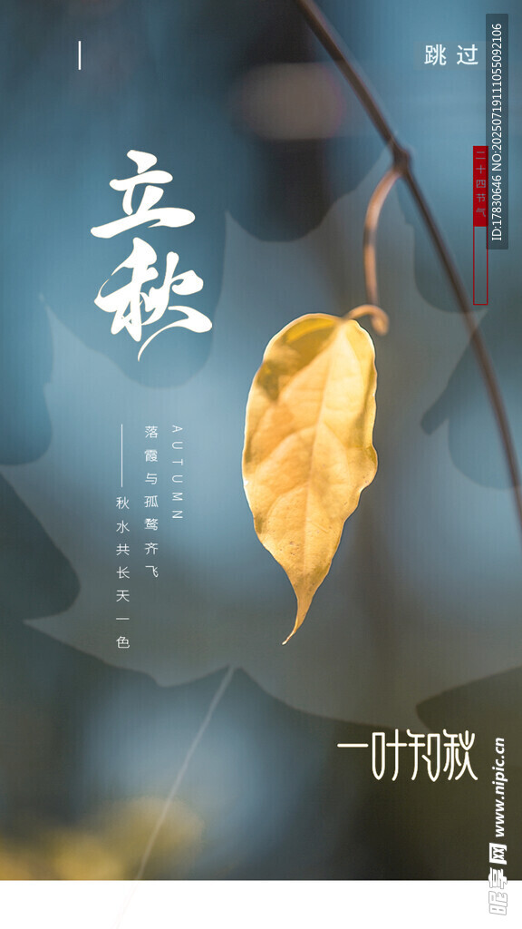 一叶知秋的诗意画面