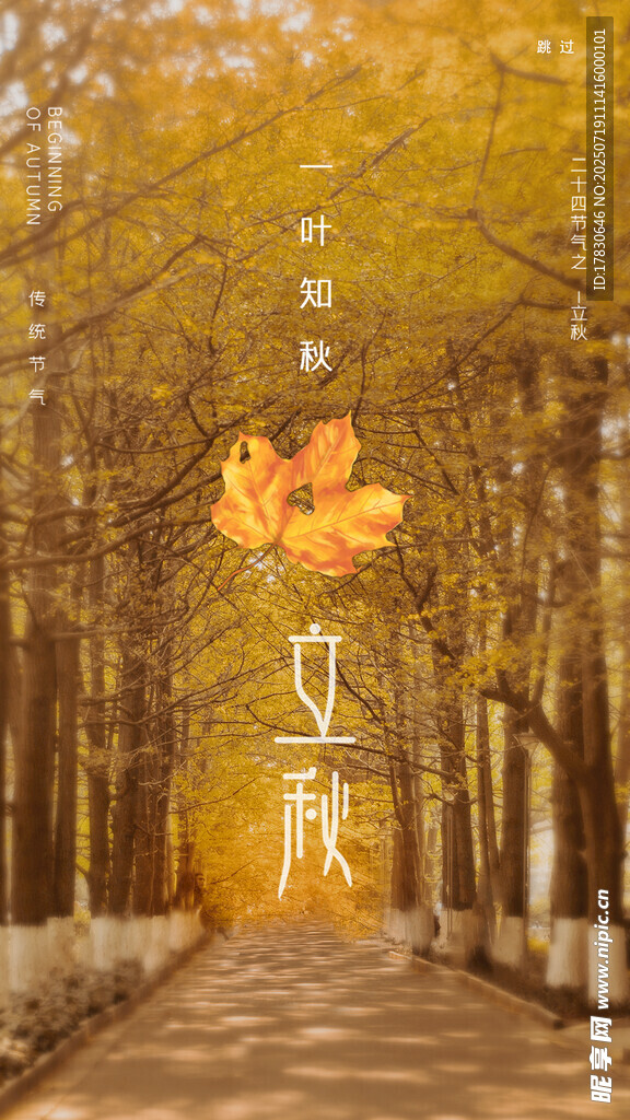 立秋海报