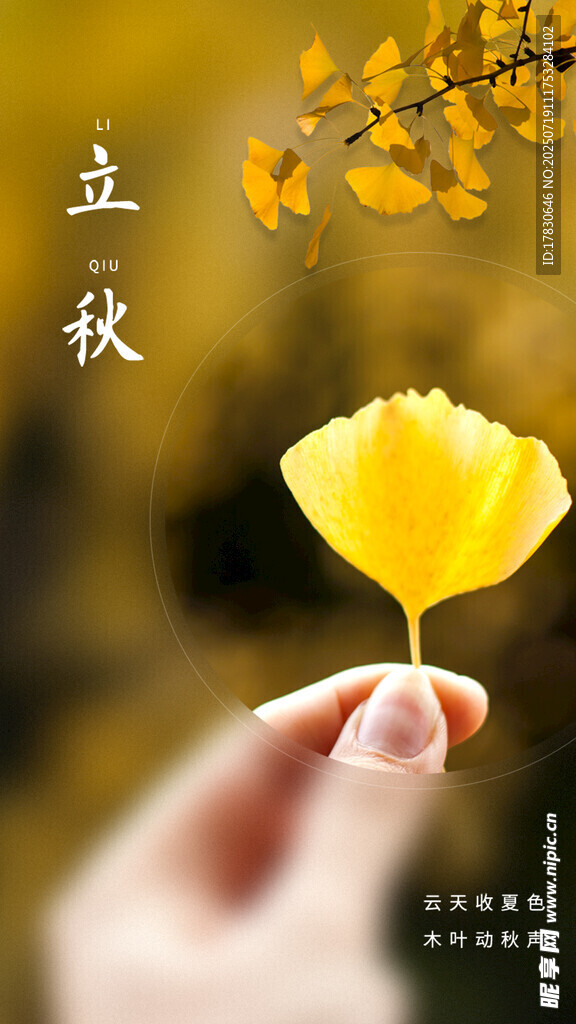 手持银杏叶迎立秋时节