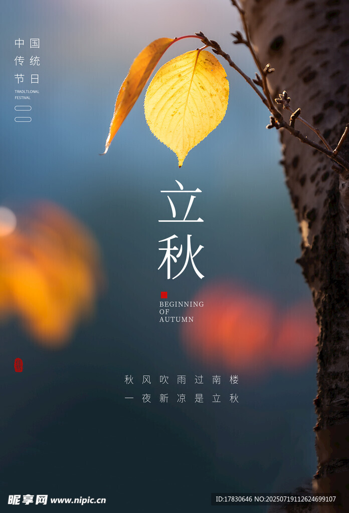 立秋时节黄叶挂枝头