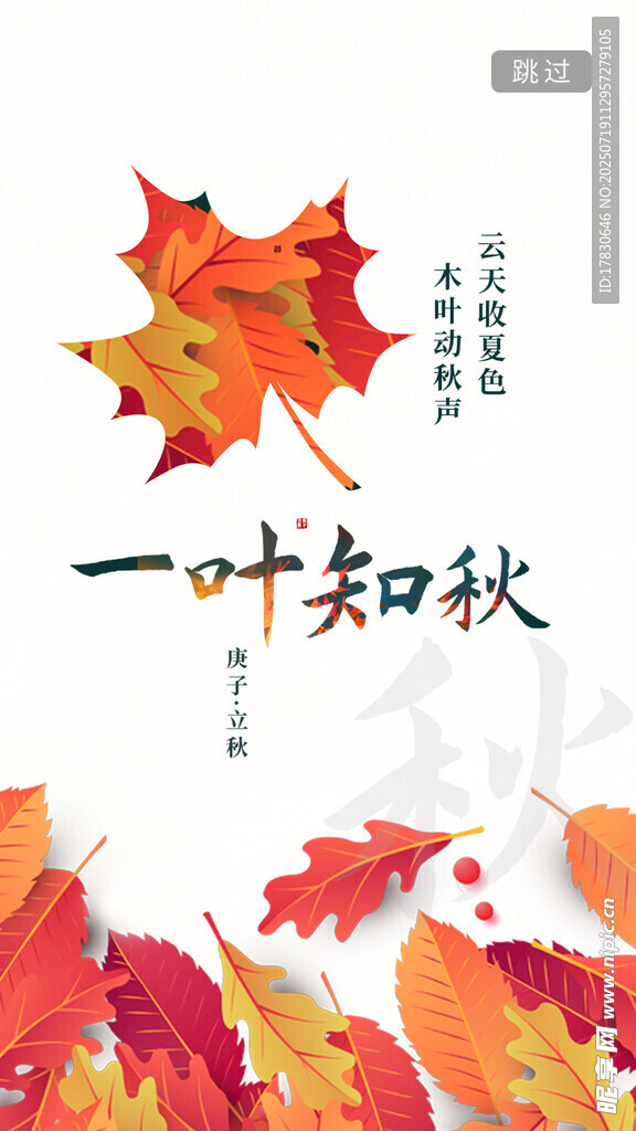 一叶知秋枫叶插画素材