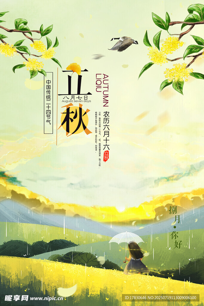 立秋时节田园美景