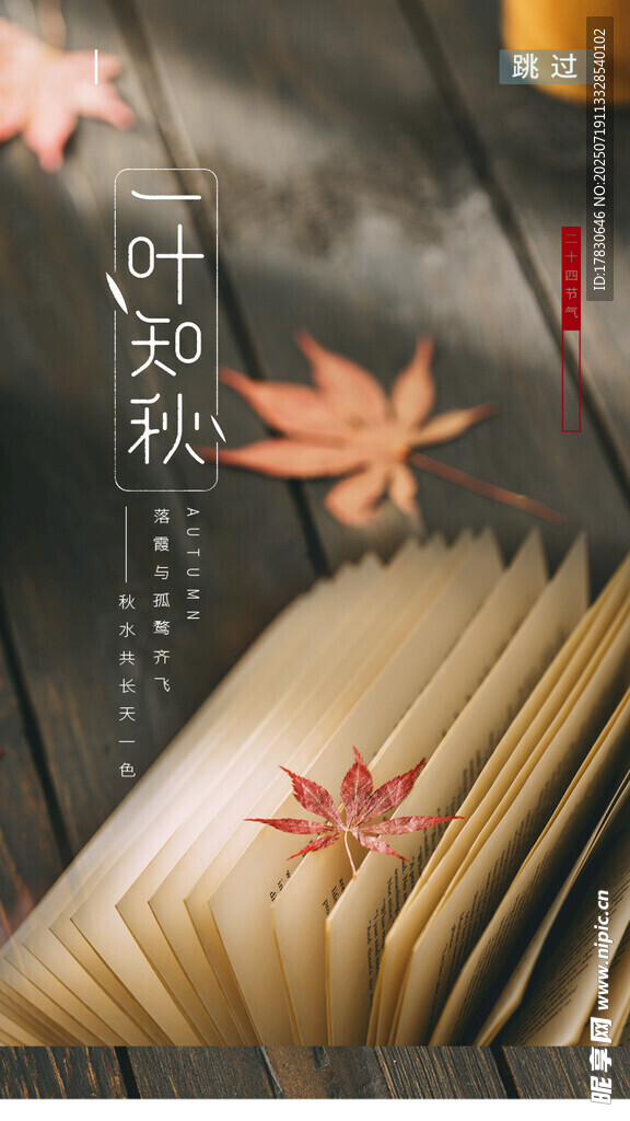 秋叶落于翻开书页间