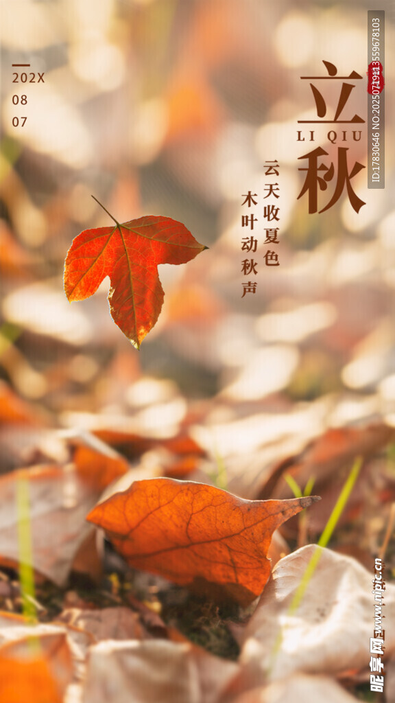 立秋时节落叶美景