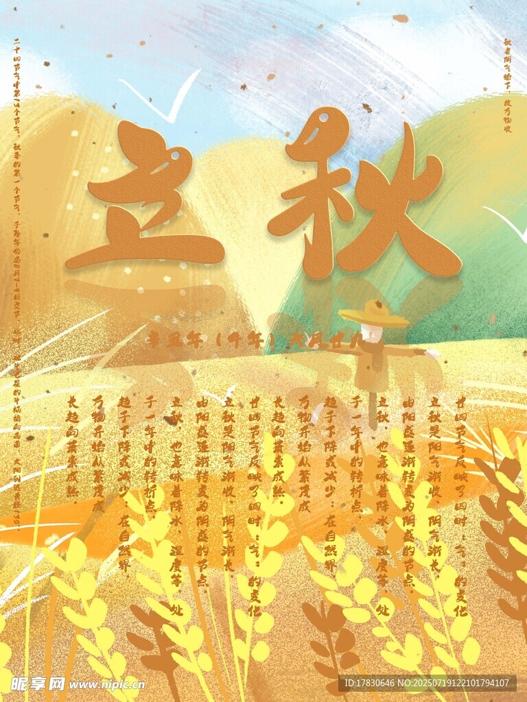 立秋时节的金黄田野景象