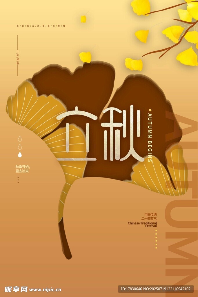 立秋时节银杏叶插画
