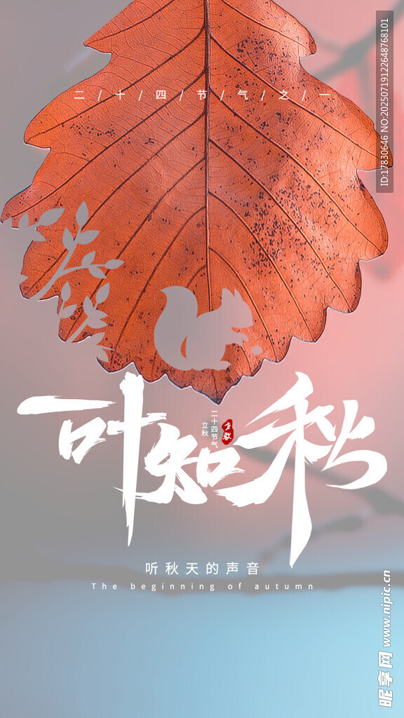 秋意浓枫叶