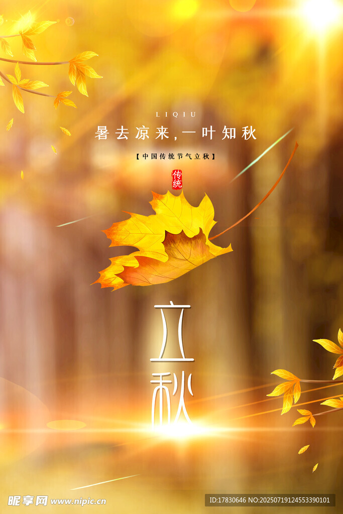 秋日林间温馨浪漫光影