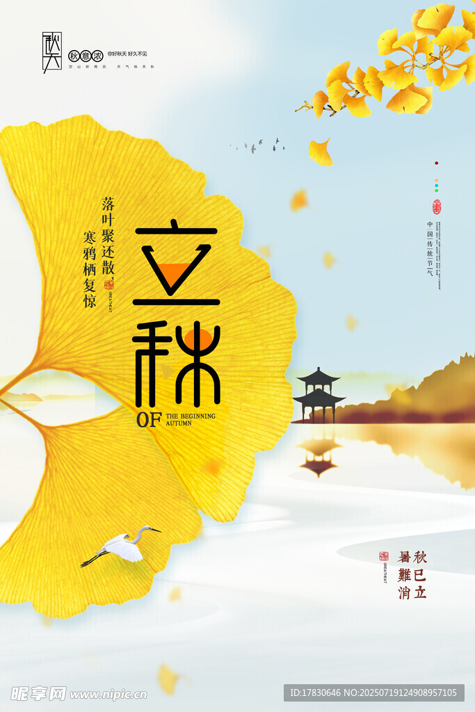 立秋时节银杏叶飘景