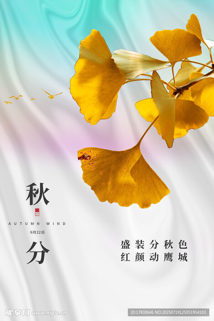 秋分时节银杏美