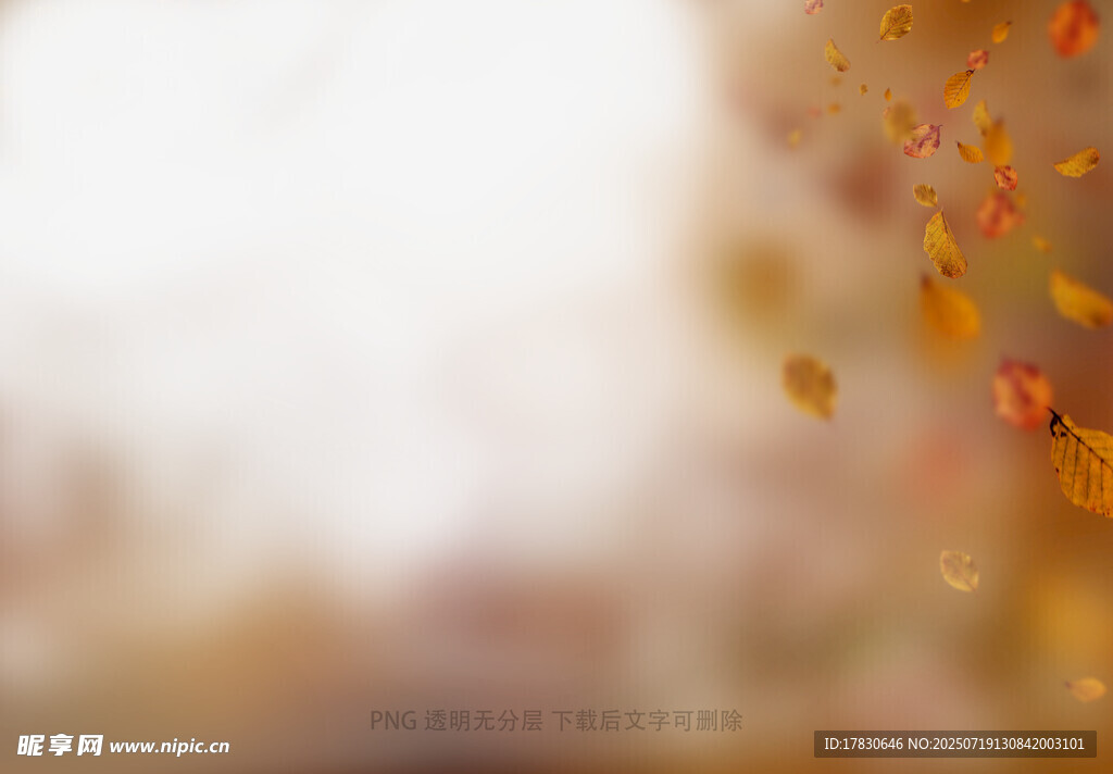 秋日飘落的斑斓树叶