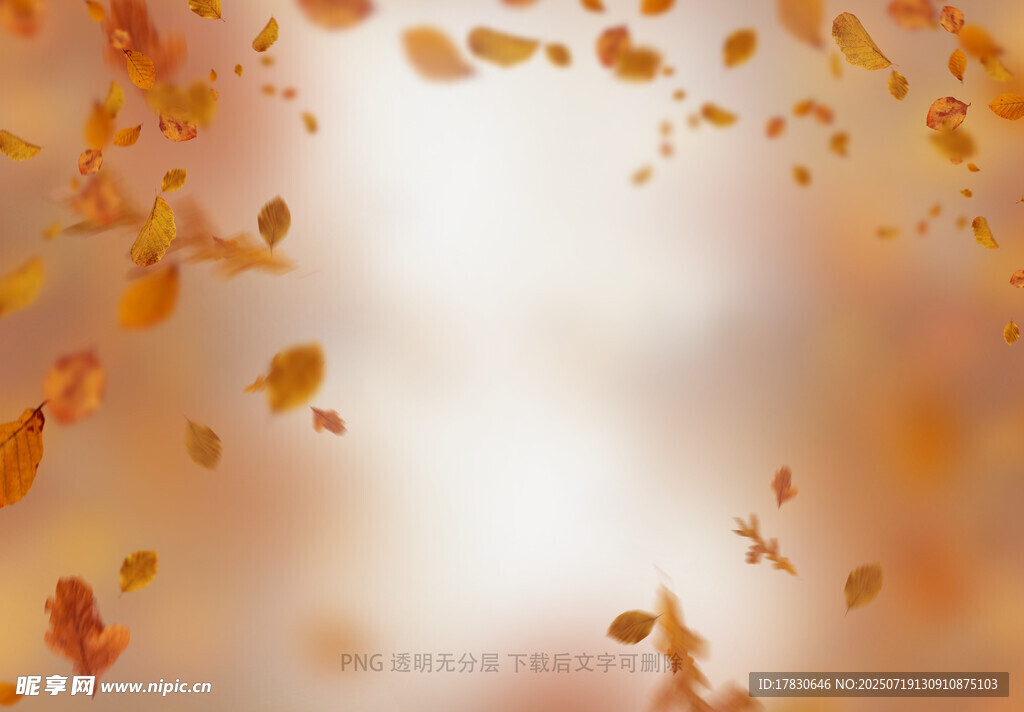 秋日落叶背景图