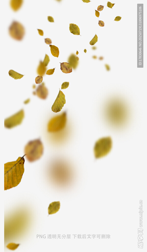 金色碎片悬浮梦幻画面