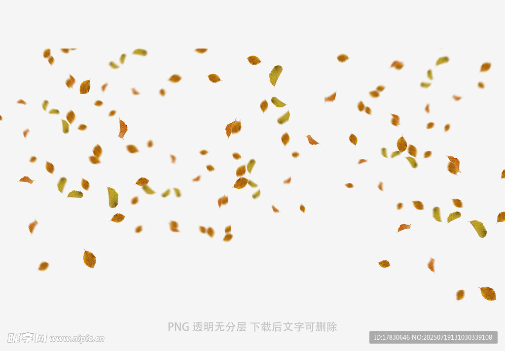 金色五彩纸屑飘落效果