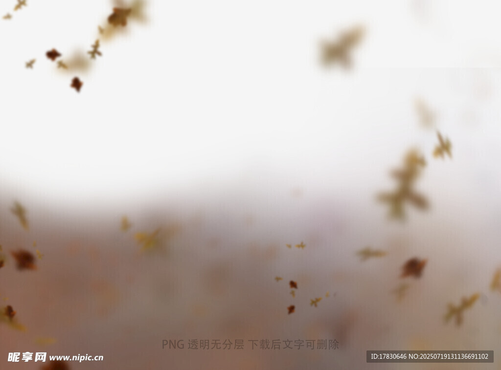 秋天虚化拍照前景