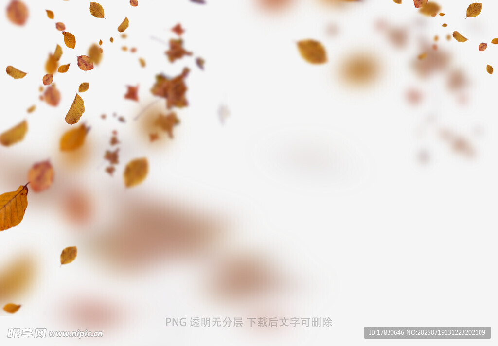飘落的金色梦幻花瓣