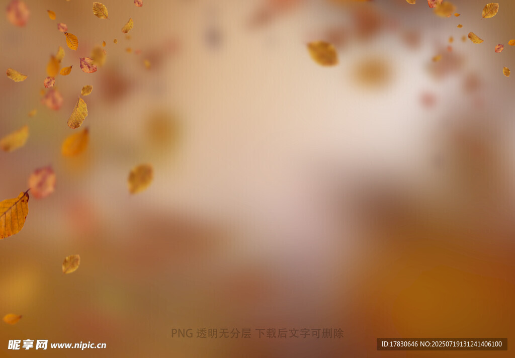秋日飘落的斑斓树叶