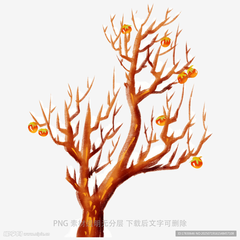 秋日枯树挂硕果