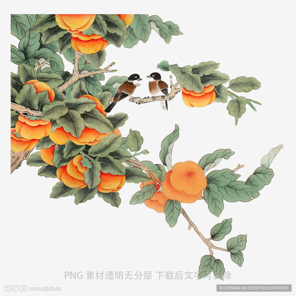 枝头双鸟伴硕果