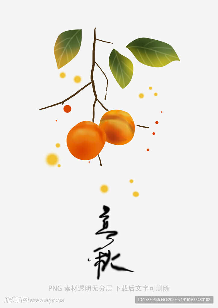 枝头秋柿图