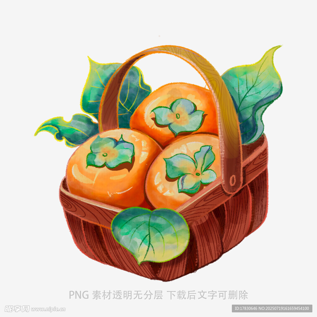 插画风果篮中的新鲜柿子