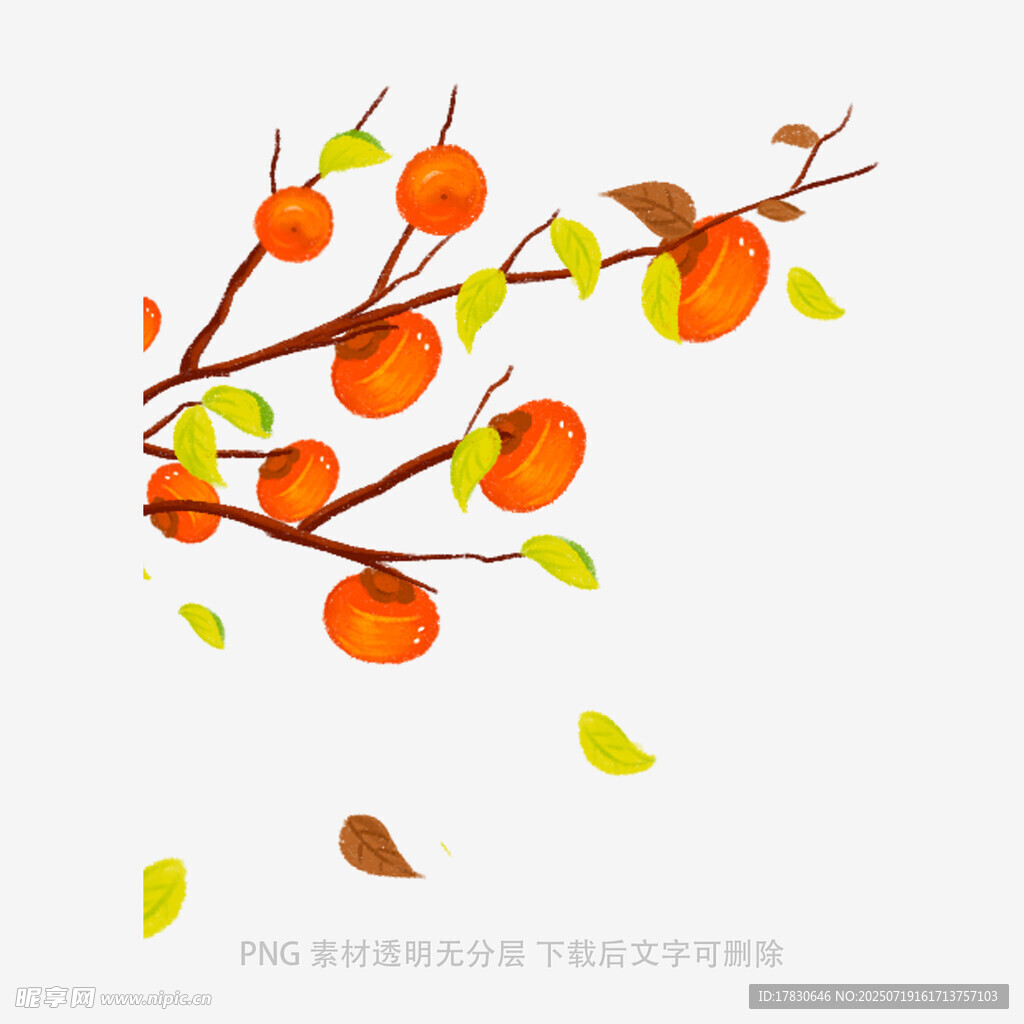 枝头柿子与飘落黄叶