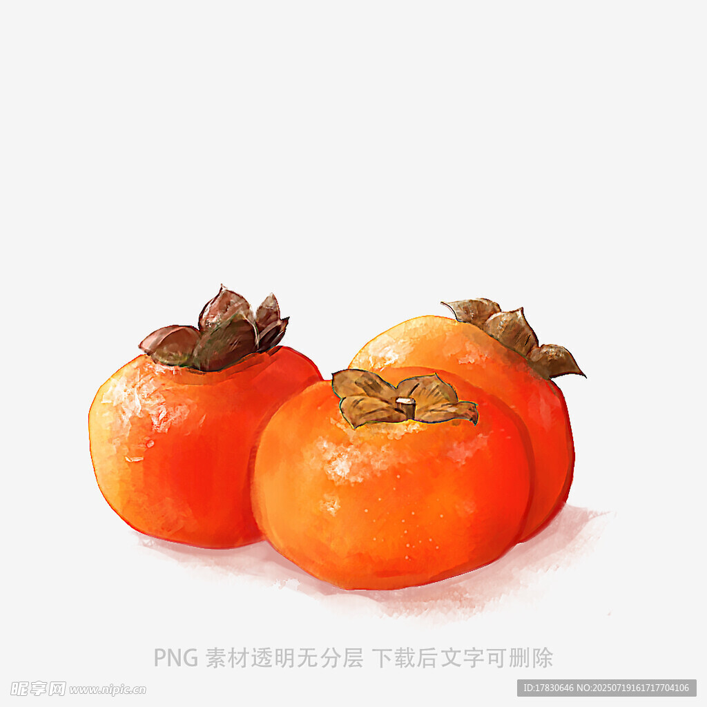 三个饱满柿子插画