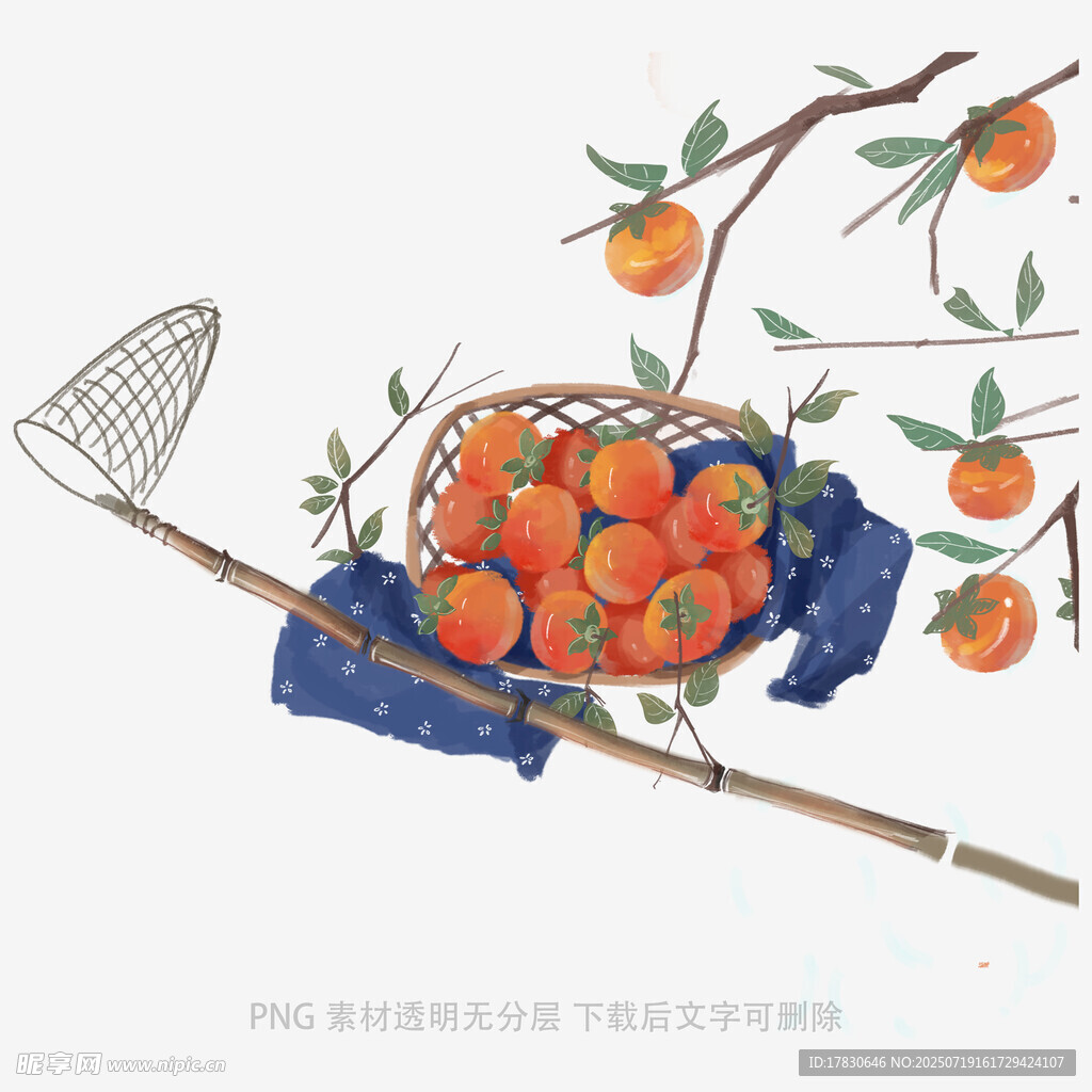 枝头硕果与捕虫网的景象