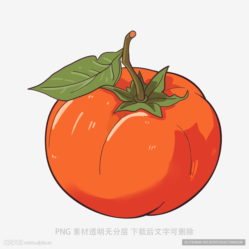 手绘鲜艳大番茄