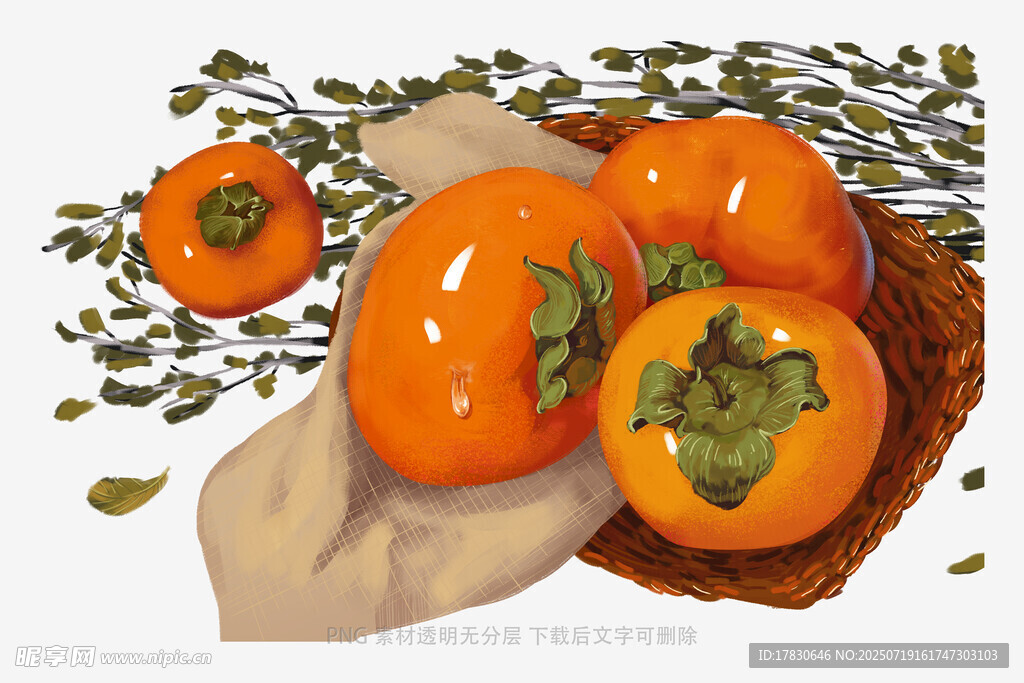 新鲜柿子与枝叶静物图