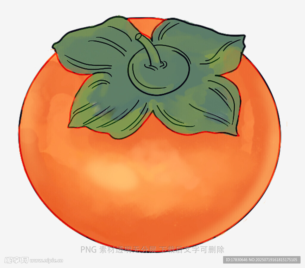 手绘橙色柿子插画