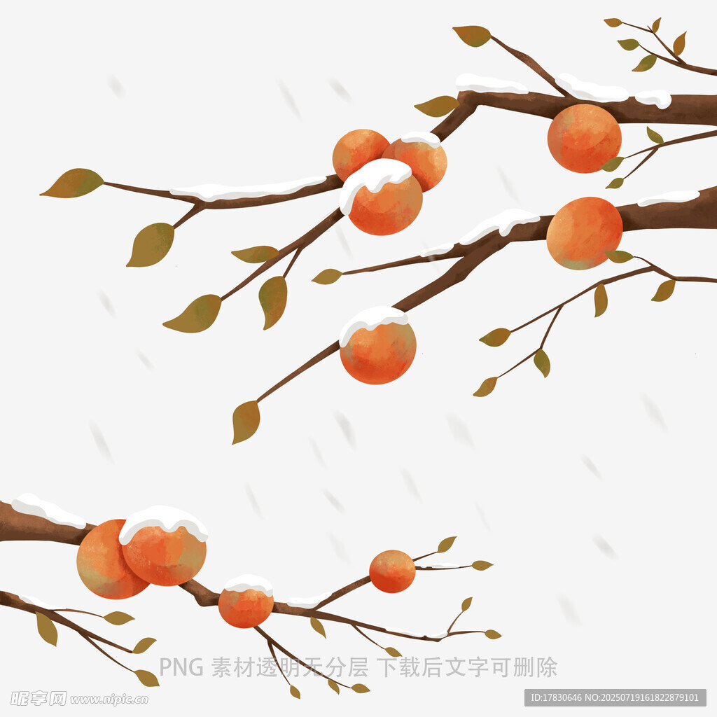 水墨风枝头柿子插画