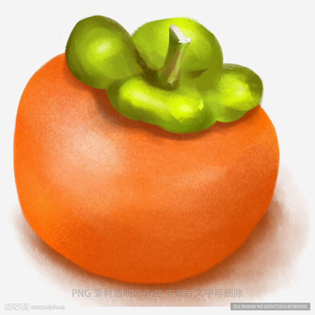 可爱柿子插画
