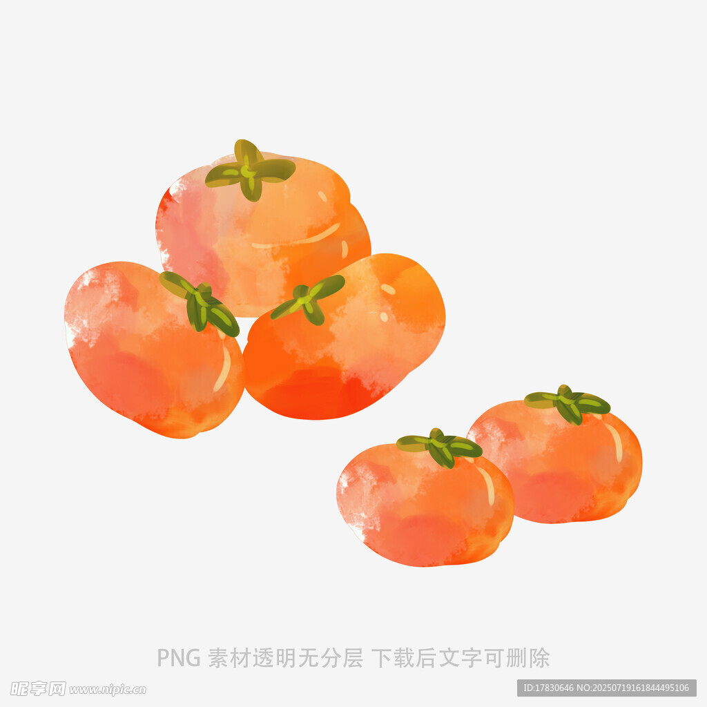 水彩绘柿子静物图
