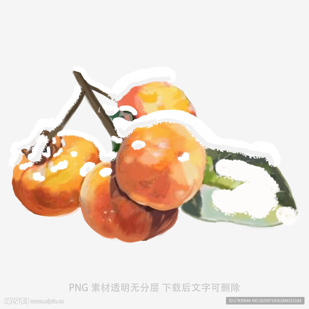 枝头雪覆柿子水彩画