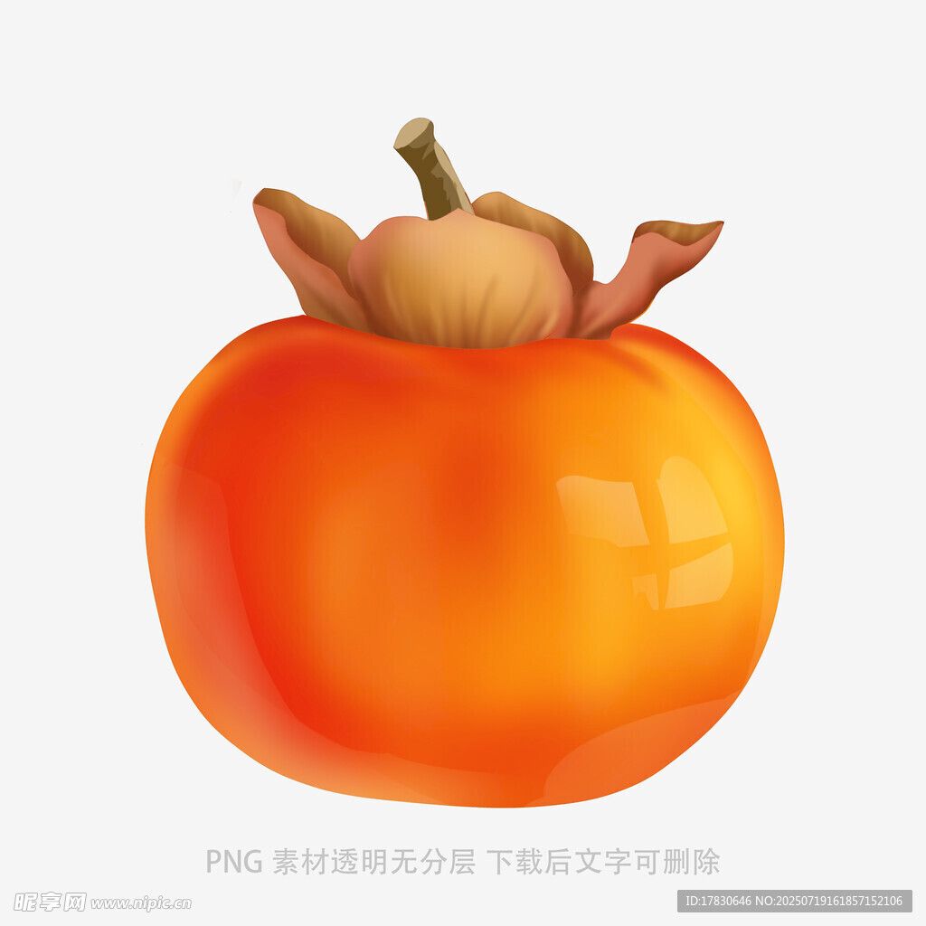 橙色柿子插画