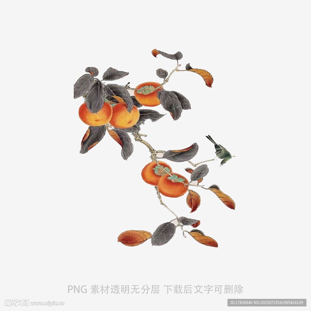 水墨风花卉枝叶插画