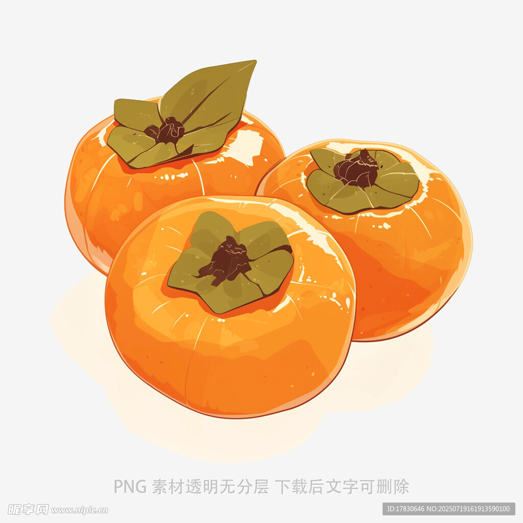 三个鲜橙橙的柿子插画
