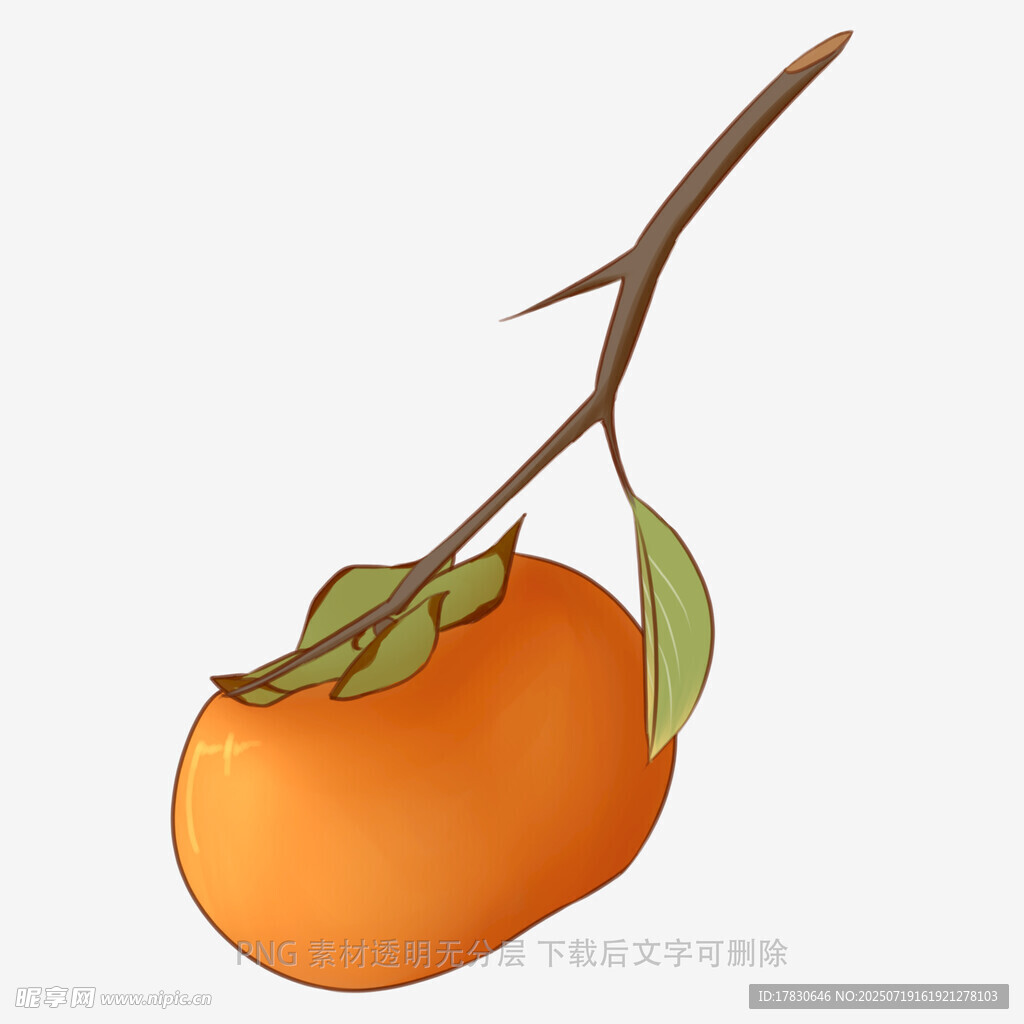 枝头鲜柿